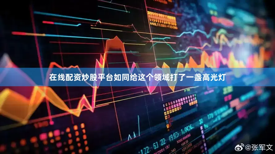 在线配资炒股平台如同给这个领域打了一盏高光灯