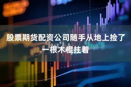 股票期货配资公司随手从地上捡了一根木棍拄着